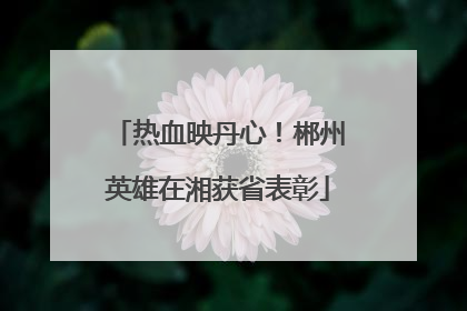 热血映丹心！郴州英雄在湘获省表彰