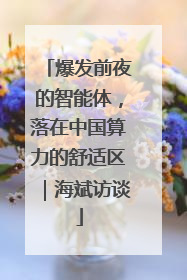 爆发前夜的智能体，落在中国算力的舒适区｜海斌访谈
