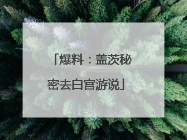 爆料：盖茨秘密去白宫游说
