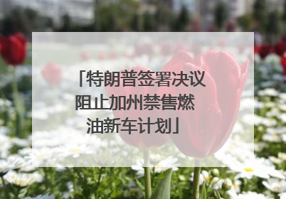 特朗普签署决议 阻止加州禁售燃油新车计划