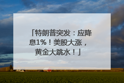 特朗普突发：应降息1%！美股大涨，黄金大跳水！