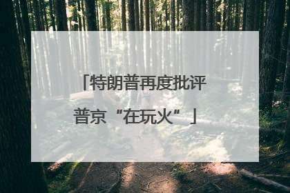特朗普再度批评普京“在玩火”