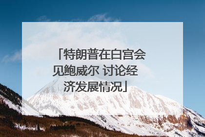 特朗普在白宫会见鲍威尔 讨论经济发展情况