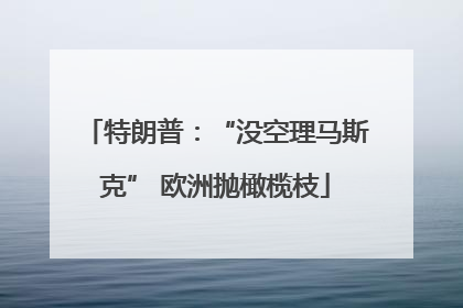 特朗普：“没空理马斯克” 欧洲抛橄榄枝