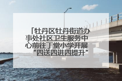 牡丹区牡丹街道办事处社区卫生服务中心前往丁堂小学开展“四送四进四提升”及无烟日宣传活动