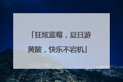 狂炫蓝莓，夏日游黄陂，快乐不宕机