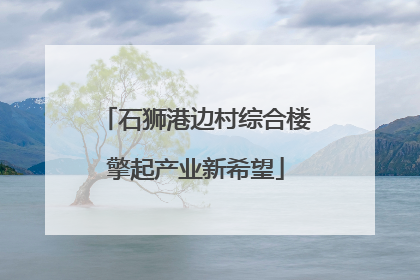 石狮港边村综合楼擎起产业新希望