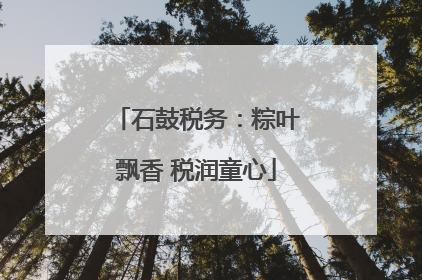 石鼓税务：粽叶飘香 税润童心