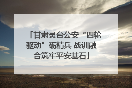 甘肃灵台公安“四轮驱动”砺精兵 战训融合筑牢平安基石