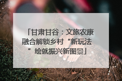甘肃甘谷：文旅农康融合解锁乡村“新玩法”绘就振兴新图景