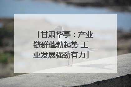 甘肃华亭：产业链群蓬勃起势 工业发展强劲有力