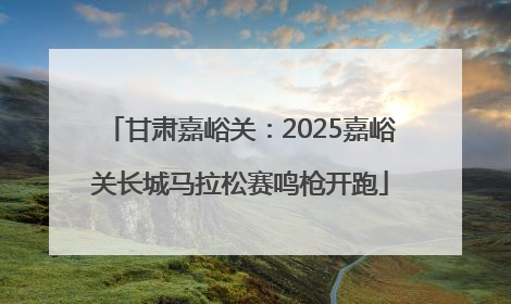 甘肃嘉峪关：2025嘉峪关长城马拉松赛鸣枪开跑