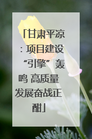 甘肃平凉：项目建设“引擎”轰鸣 高质量发展奋战正酣