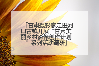 甘肃摄影家走进河口古镇开展“甘肃美丽乡村影像创作计划”系列活动调研