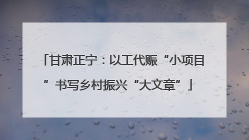 甘肃正宁：以工代赈“小项目”书写乡村振兴“大文章”
