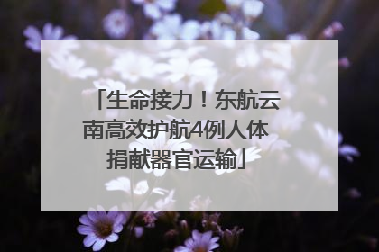 生命接力！东航云南高效护航4例人体捐献器官运输