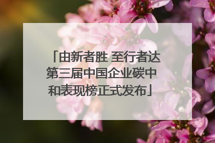 由新者胜 至行者达 第三届中国企业碳中和表现榜正式发布