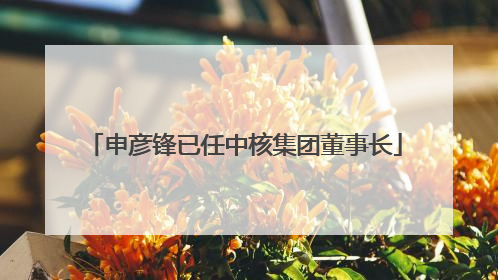 申彦锋已任中核集团董事长