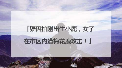 疑因拍刚出生小鹿，女子在市区内遭梅花鹿攻击！