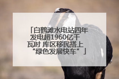 白鹤滩水电站四年发电超1960亿千瓦时 库区移民搭上“绿色发展快车”