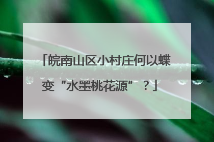 皖南山区小村庄何以蝶变“水墨桃花源”？