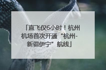 直飞仅6小时！杭州机场首次开通“杭州-新疆伊宁”航线