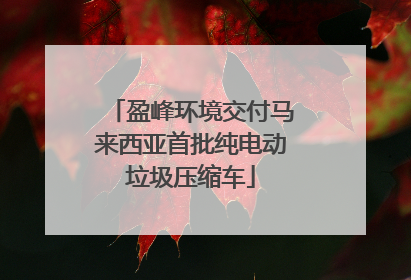 盈峰环境交付马来西亚首批纯电动垃圾压缩车