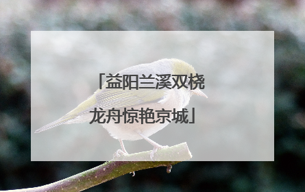 益阳兰溪双桡龙舟惊艳京城