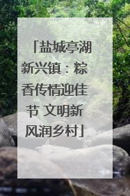 盐城亭湖新兴镇：粽香传情迎佳节 文明新风润乡村