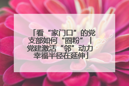 看“家门口”的党支部如何“圈粉”丨党建激活“邻”动力 幸福半径在延伸