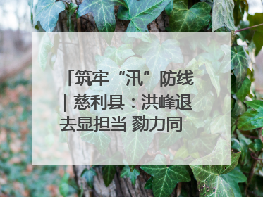 筑牢“汛”防线｜慈利县：洪峰退去显担当 勠力同心启新篇
