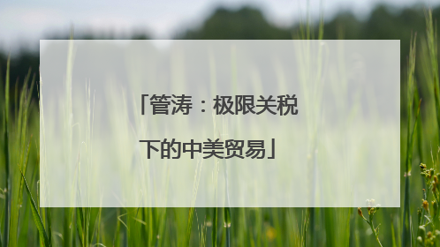 管涛：极限关税下的中美贸易