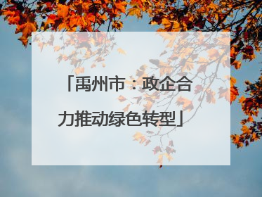 禹州市：政企合力推动绿色转型