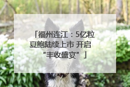 福州连江：5亿粒夏鲍陆续上市 开启“丰收盛宴”