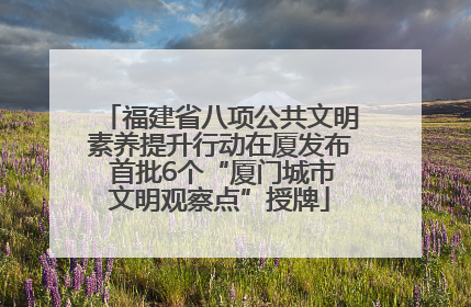福建省八项公共文明素养提升行动在厦发布 首批6个“厦门城市文明观察点”授牌