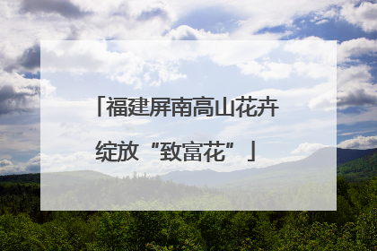 福建屏南高山花卉绽放“致富花”