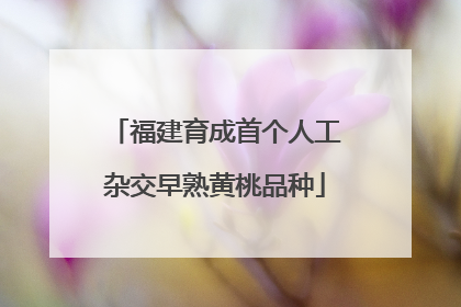 福建育成首个人工杂交早熟黄桃品种