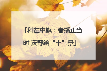 科左中旗：春播正当时 沃野绘“丰”景