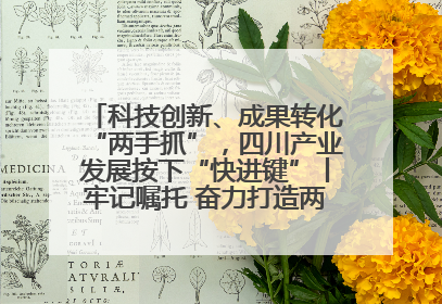科技创新、成果转化“两手抓”，四川产业发展按下“快进键”丨牢记嘱托 奋力打造两高地两基地一屏障
