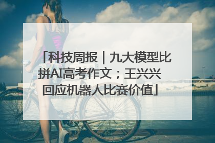 科技周报｜九大模型比拼AI高考作文；王兴兴回应机器人比赛价值