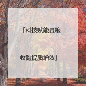 科技赋能夏粮收购提质增效