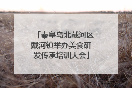 秦皇岛北戴河区戴河镇举办美食研发传承培训大会