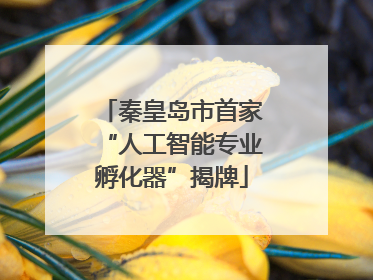 秦皇岛市首家“人工智能专业孵化器”揭牌