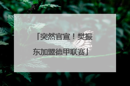 突然官宣！樊振东加盟德甲联赛