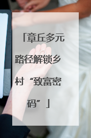 章丘多元路径解锁乡村“致富密码”