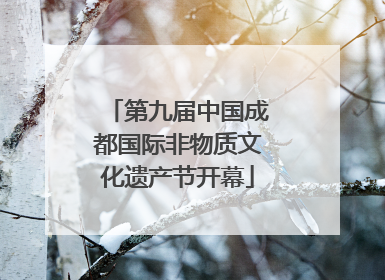 第九届中国成都国际非物质文化遗产节开幕