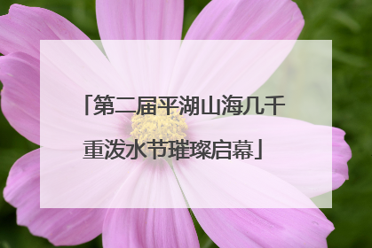 第二届平湖山海几千重泼水节璀璨启幕