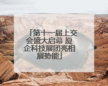 第十一届上交会盛大启幕 厦企科技展团亮相展势能