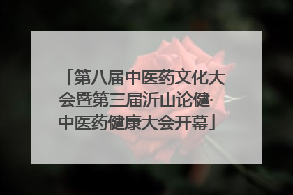 第八届中医药文化大会暨第三届沂山论健·中医药健康大会开幕