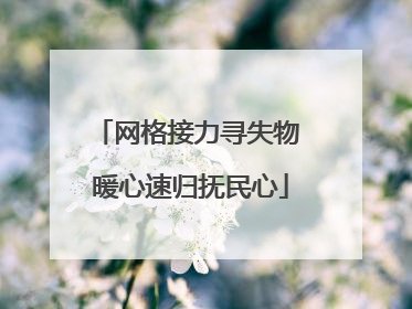 网格接力寻失物 暖心速归抚民心